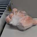 9Pcs Pink Faux Assorted Velvet Pumpkins Decorations Artificial Fabric Pumpkin Foam Fall Wedding Halloween Home Decor Thanksgiving Farmhouse