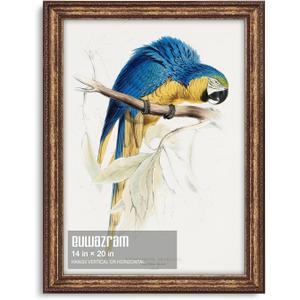 Ornate Antique Gold 14x20 Picture Frame for Photos and Artwork, 14 x 20 in