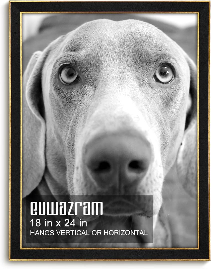 18x24 Poster Frame for Photos and Art, Suede Black, 1 Pack