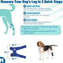 Dog Leg Braces for Back & Front Legs- Dog Hock & Ankle Joint Brace for Weak Back Legs with 2 Metal Strips, Reflective Trim for Sprain, Injury, Arthritis, Wound Recovery,Blue,M