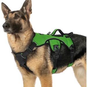 rabbitgoo Escape Proof Dog Harness, Soft Padded Full Body Pet Harness, Reflective Adjustable No Pull Vest with Lift Handle and Lesh Clip for Large Dogs Walking Hiking Training, XL, Green