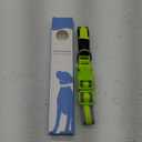 LED Dog Collar, Light Up Dog Collar USB Rechargeable, Brightest Dog Lights for Night Walking, Adjustable Dog Collar Light for Dog Safety(Medium, Neon Green)