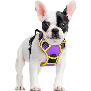 rabbitgoo Dog Harness No Pull with 2 Leash Clips, Adjustable Soft Padded, Reflective Oxford No Choke Pet Vest with Easy Control Handle for Small Dogs, Purple & Yellow, S