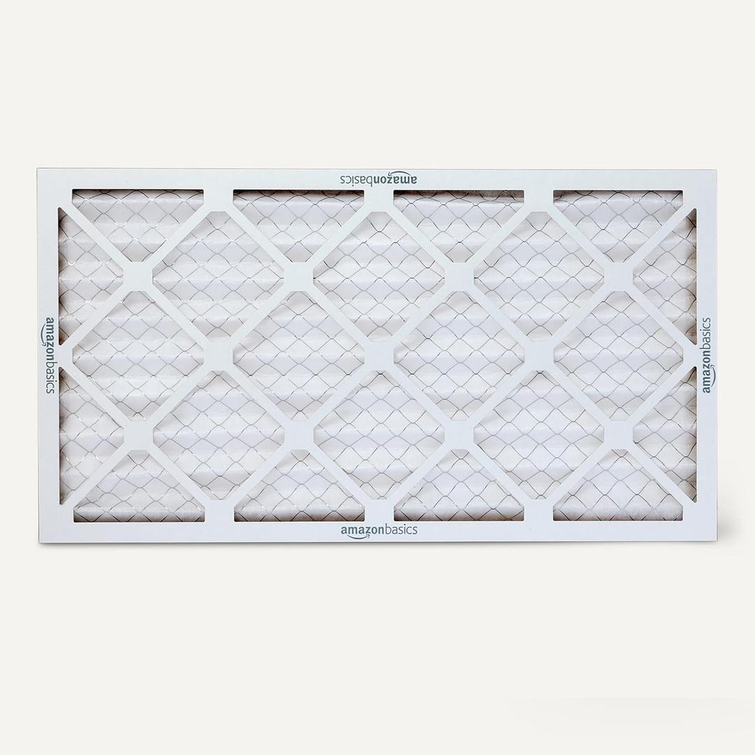 Amazon Basic Air Filter 14x29x1 (5 Pack)
