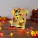 BlcTec Fall Decorations for Home 12.8FT 40 LED Maple Leaves Fall String Lights, Battery Operated Thanksgiving Fairy Lights with Timer for Indoor Outdoor Thanksgiving Autumn Harvest Fall Decor