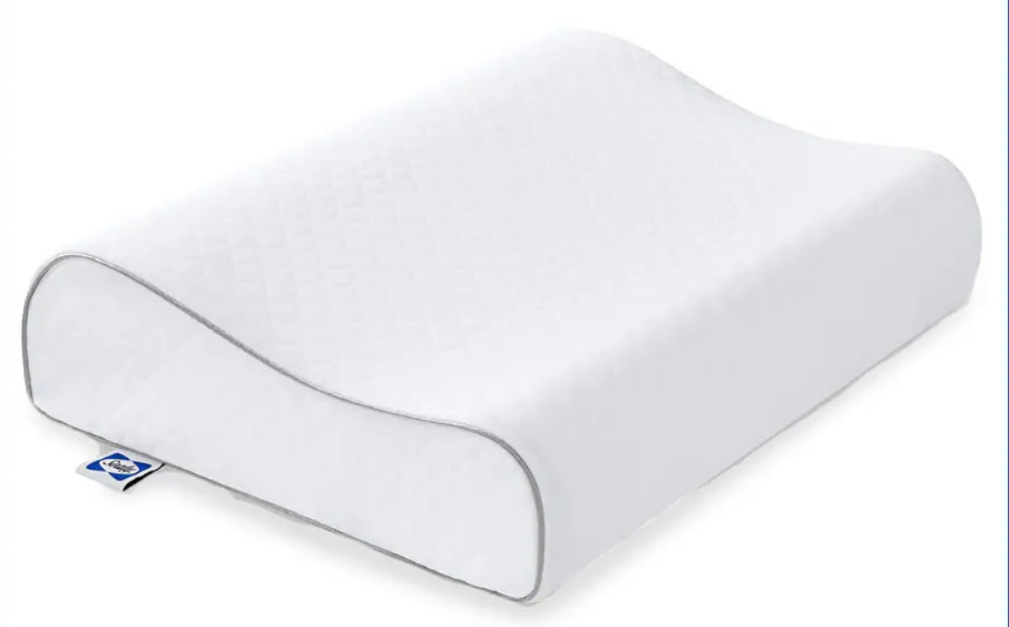 Sealy Contour Curve Pillow 20x15In