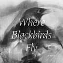 Where Blackbirds Fly: A Novel