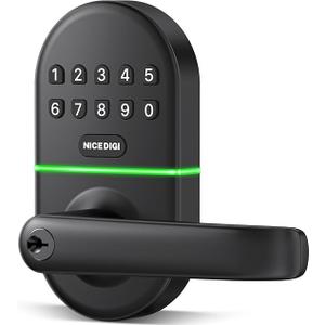 Keypad Door Lock with Handle: Keyless Entry Smart Lock for Front Door, NICE DIGI Electronic Digital Door Lock, Easy Installation