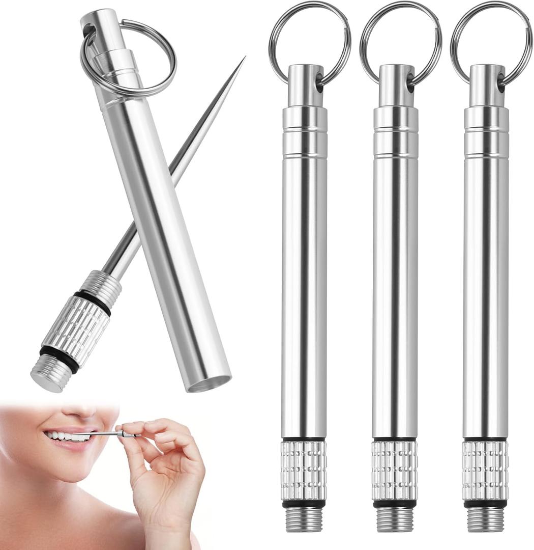 4pcs Portable Mini Titanium Toothpicks Holder,Stainless Steel Travel Toothpick,Reusable Pocket Metal Toothpick With Stainless Steel Toothpick Holder For Daily Use,Travel