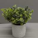MyGift Artificial Eucalyptus Plant in Modern Gray Concrete Pots with Geometric Embossed Pattern (1, White)