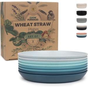 Grow Forward Premium Wheat Straw Plates - 8 Inch Reusable Hard Plastic Dinner Plates Set of 8 - Unbreakable Microwave Safe Plates for Dessert, Camping, RV, Outdoors, Patio, Kitchen Dishes - Seascape