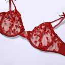 Sexy Underwire Cute Push Up Strappy Embroidered Mesh Sheer Lingerie Set See Through Panty Bra (Medium)