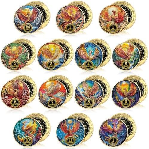 Blueweenly 14 Pcs Aa Sobriety Coins Set - 24 Hour Newcomer & 1-11 Month Recovery Chips Sober Anniversary Tokens Bulk Sobriety Gifts for Men and Women(Phoenix)
