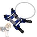 Blind Dog Harness, Blind Dog Vest with Protective Neck Ring, Assistive Guidance Device for Pets Suitable for Dogs with Eye Injuries, Vision Loss, or to Prevent Collisions