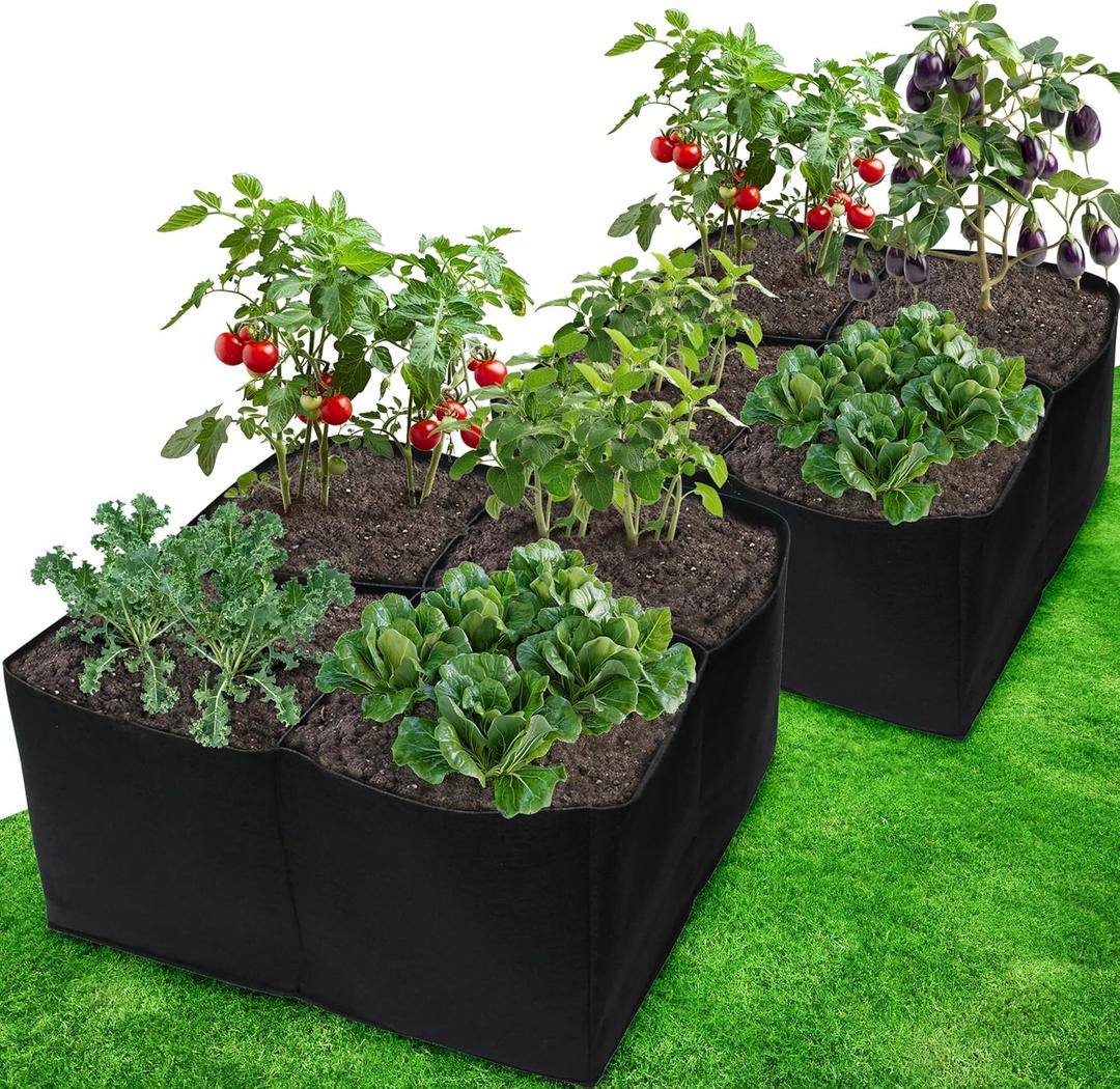 Gardzen 2 Pack Fabric Raised Garden Beds, 2x2x1 FT – 4 Grids Grow Bed for Square Foot Gardening, Planting Box for Vegetables, Herbs, Flowers