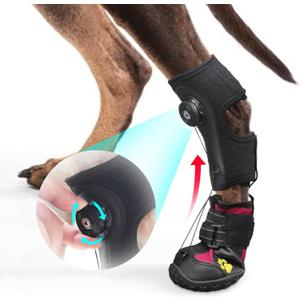 Drop Foot Brace with Reel(No Knuckling Boot Brace) for Dog - Corrective Dog Shoes to Safely Lift Toes for Foot Issues, Arthritis, and improving Walking gait in Dogs,Patent Pending(M)