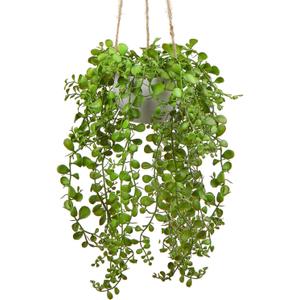 Artificial Hanging Plants Fake Greenery Succulent Potted Plant Ceramic Planter for Home Wall Indoor Outdoor Decor Dischidia Oiantha