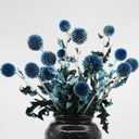 20+ Balls Dried Blue Green Thistle Flowers Bouquet - 15" Preserved Echinops Globe Flower for Wedding, Boho Party, Home Decor, Table Center, DIY Floral Arrangements, Present Box Decorations, Dry Flower