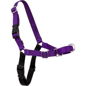 PetSafe Easy Walk Harness for Dogs - Pull-Free Walks - Patented Martingale Loop Design - Front Chest Leash Attachment - Comfort Straps - Breathable Harness Design - Small/Medium, Deep Purple/Black