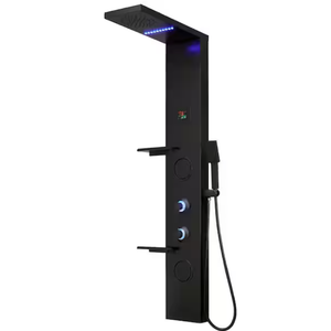 2-Jet Rainfall Shower Panel System with Rainfall Shower Head, Shelf, STub Spout and LED Light in Matte Black