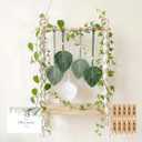 Macrame Wall Hanging Shelf, Boho Wall Decor Woven Leaf Tapestry, Floating Shelves for Bedroom Kitchen Living Room Bathroom Nursery, Hanging Plant & Book Display Shelf