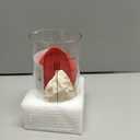 Sourdough Starter Jar, 24 OZ Wide Mouth Sour Dough Starter Jars Glass, Sourdough Starter Kit, Sourdough Bread Baking Supplies for Beginners and Pro, 1 Pack