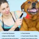 LLLT Cold Laser Therapy Device with Protective Magnetic Cover, 5 * 808nm & 10 * 650nm Human/Vet Handheld Infrared Red Light Therapy, Pet Dogs Treatment Device for Muscle Pain Relief & Improve Healing
