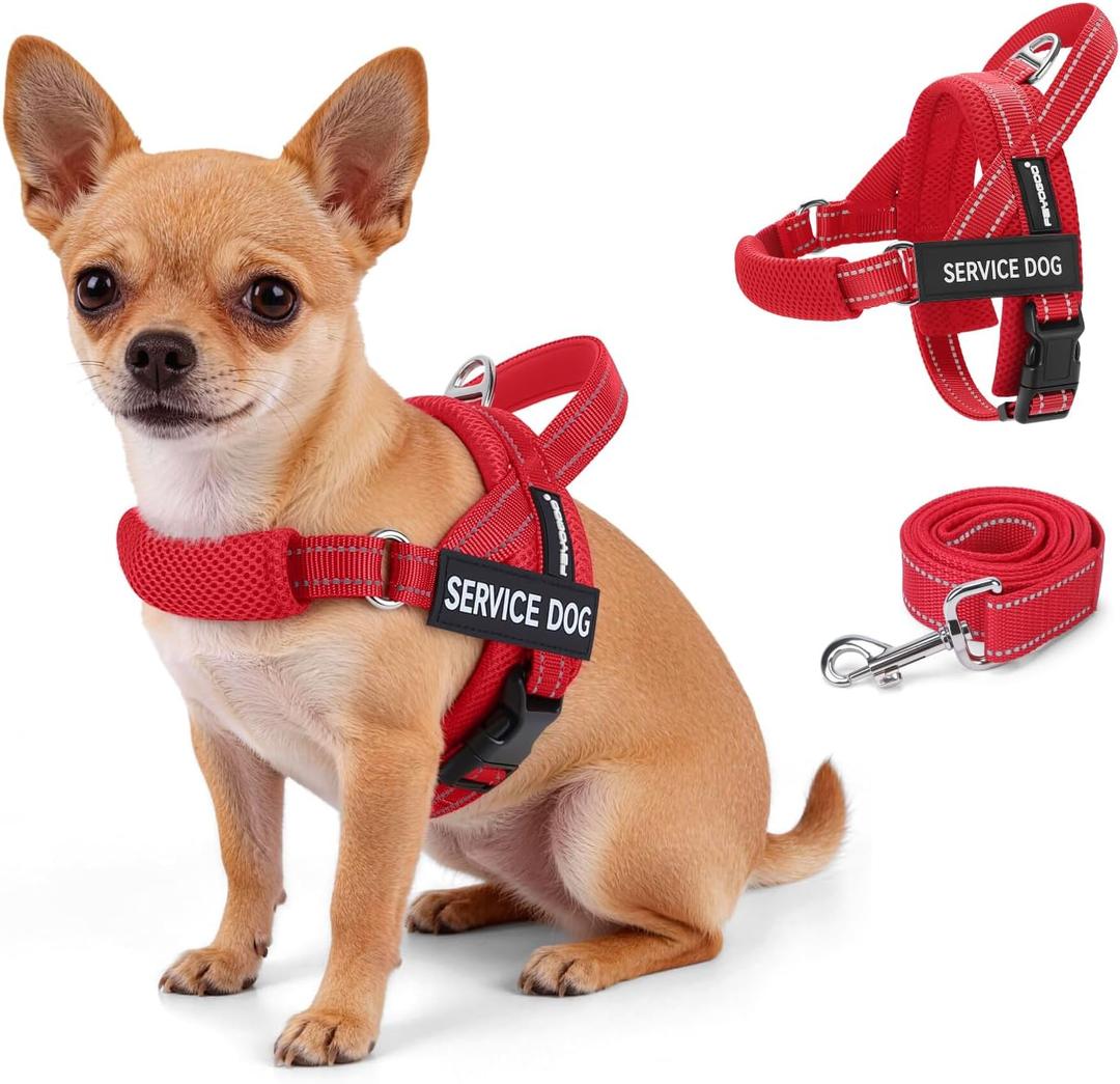 FAYOGOO Service Dog Vest for  Dogs,Lightweight Service Dog Harness with Adjustable Chest Strap,No-Pull No-Chock Escape Proof Dog Harness for Walking Training, S