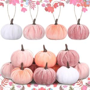 12 Pcs Thanksgiving Pumpkin Hanging Ornament 2 Inches Velvet Thanksgiving Fall Tree Decorations Fabric Small Tree Decorations for Farmhouse Harvest Autumn Home Party Decor (Pink and White)