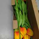 WeTop 30pcs Real Touch Tulips PU Artificial Flowers, Fake Tulips Flowers for Arrangement Wedding Party Easter Spring Fall Home Dining Room Office Decoration. (Orange, 14" Tall)