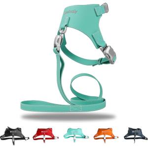 Magnetic Buckle Dog Leather Harness with 4 FT Leash | Anti-Wrinkle & Anti-Bite Leather | Ultra-Soft & Skin-Friendly | 450LB Escape-Proof Magease Buckle - Easy On/Off (Light Blue, Large)