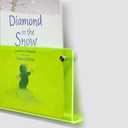 ROYALITA 2-Pack Acrylic Magazine Holder Brochure Holder, 24" Record Holder Magazine Rack, Fashion Hanging Bookshelf Literature Storage Rack for Waiting Room, Living Room, Office, Green 24 Inch