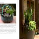 Succulent Container Gardens: Design Eye-Catching Displays with 350 Easy-Care Plants