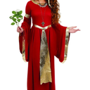 fun shack Renaissance Dress Women, Medieval Costume for Renaissance Faire, Elegant Historical Dress for Events, S
