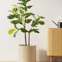 LE TAUCI 12 Inch Pot for Plants, Ceramic Planters for Indoor Plants, Mid-Century Modern Cylinder Flower Pots with Drainage Hole, Fits Fiddle Leaf Fig & Monstera, Home Decor, Sand Beige