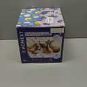 The Honest Company Comfort Dry Disposable Overnight Diapers for Sensitive Skin, Hypoallergenic, Baby Cozy Cloud and Star Signs Design Club Box Size 5 (27 lbs) 40 Count