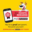 Purina Beggin' Strips With Real Meat Dog Treats With Bacon and Beef Flavors - (Pack of 2) 26 oz. Pouches (1.63 Pound (Pack of 2))