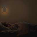 2 Pack Very Dim Sleep Night Lights Plug into wall, Kids Sleep Light, Adult Sleep Light, Bedroom Night Light, Light Sensor, LED, Dimmable, Warm Soft Light Plug in Night Light