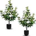 Hananona 2 Pcs Artificial Camellia Trees Faux Camellia Plant in Pot with Flowers Indoor Plants for Spring Home Decor Outdoor Porch Front Door Decor (White, M) (Medium)