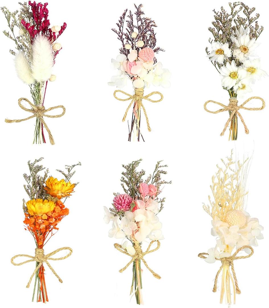 6Pcs Mini Dried Flowers Bouquet, Mixed Natural Dried Flowers Gypsophila Bouquets Boutonniere Table Centerpieces Birthday Cake Flowers for DIY Crafts with 3 Flower Stickers 10m Hemp Rope