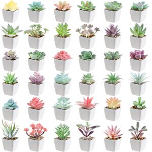 36 Pieces Mini Artificial Succulent Plants Potted Assorted Decorative Fake Succulent Plants with Pots Set Small Plastic Faux Succulents in Pots for Room Bookshelf Desk Bedroom Bathroom
