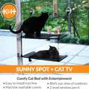 K&H Pet Products EZ Mount Double Stack Cat Window Perch for Large Cats, Sturdy Window Hammock Bed, Steel Frame, Sturdy Suction Cups, 2 Washable Shelf Covers, Foldable - Fits 27"W X 31"H Glass Spaces