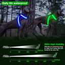 ChalkLit Light Up Dog Harness, No Pull Led Dog Harness Glow-in-The-Dark for Night Walking, USB Rechargeable Lighted Safety Vest for Medium Large Dogs, Adjustable Soft Mesh Fully Illuminated(Green, XL)