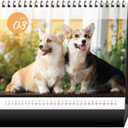 2 x 2026 Desk Calendar & Monthly Planner, Dog Family, Various Dog Breeds and Cute Puppies, Standing Flip, Spiral Binding, Stand-Up Tent,14 Sheets, 8"x 7.9"