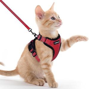 rabbitgoo Cat Harness and Leash for Walking, Escape Proof Soft Adjustable Vest Harnesses for Cats, Easy Control Breathable Reflective Strips Jacket, Red, XXS