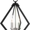 Livex Lighting 40922-04 2 Light Black W/Brushed Nickel Cluster