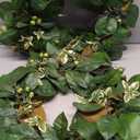 22-24" Eucalyptus Wreaths for Front Door,Spring Summer Fall Autumn Winter Wreaths,Large Eucalyptus Greenery Wreath with Olive Leaves Berries for Front Door Outdoor Farmhouse Decor All Seasons, Pack of 2