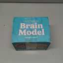 Cross Section Foam Brain Model | Free Stand, Answer Sheet & Digital Worksheet | Educational Tool Learning & Teaching Human Anatomical Function, Psychology, Biology or Science | 2 Labeled Half Pieces