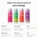 Aonic Revive Electrolyte Drink for Hydration & Recovery, No Added Sugar, Caffeine-Free with Magnesium,B Vitamins Naturally Flavored- 12 Fl Oz Cans (12-Pack), Variety - Pineapple, Raspberry, Orange & Passionfruit