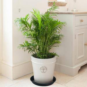 15 Inch Plant Saucer,  Plant Plates to Catch Water, Pebble Tray for Plant Humidity, Flower Pot Saucers for Indoor and Outdoor Garden(2PCS)